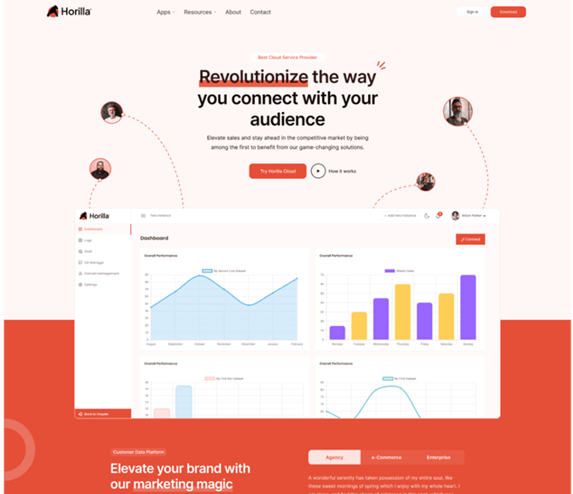 SaaS Website